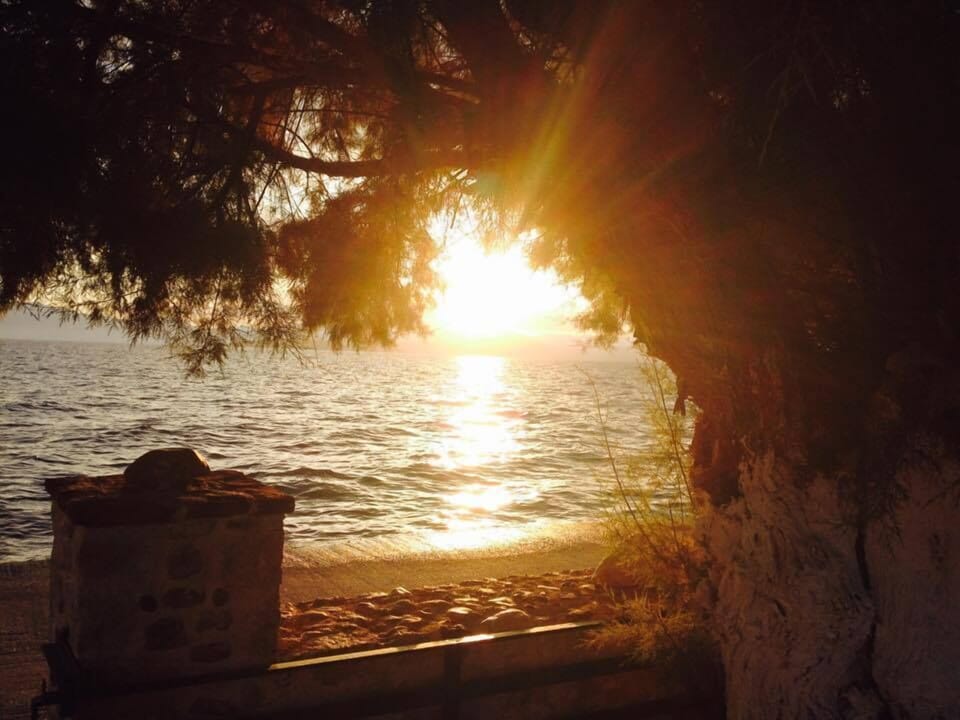 Apartment, 2 Bedrooms | View from room