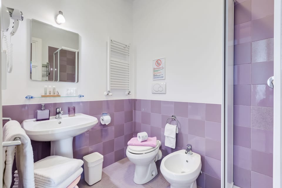 Deluxe Double Room, City View | Bathroom | Shower, free toiletries, hair dryer, bidet