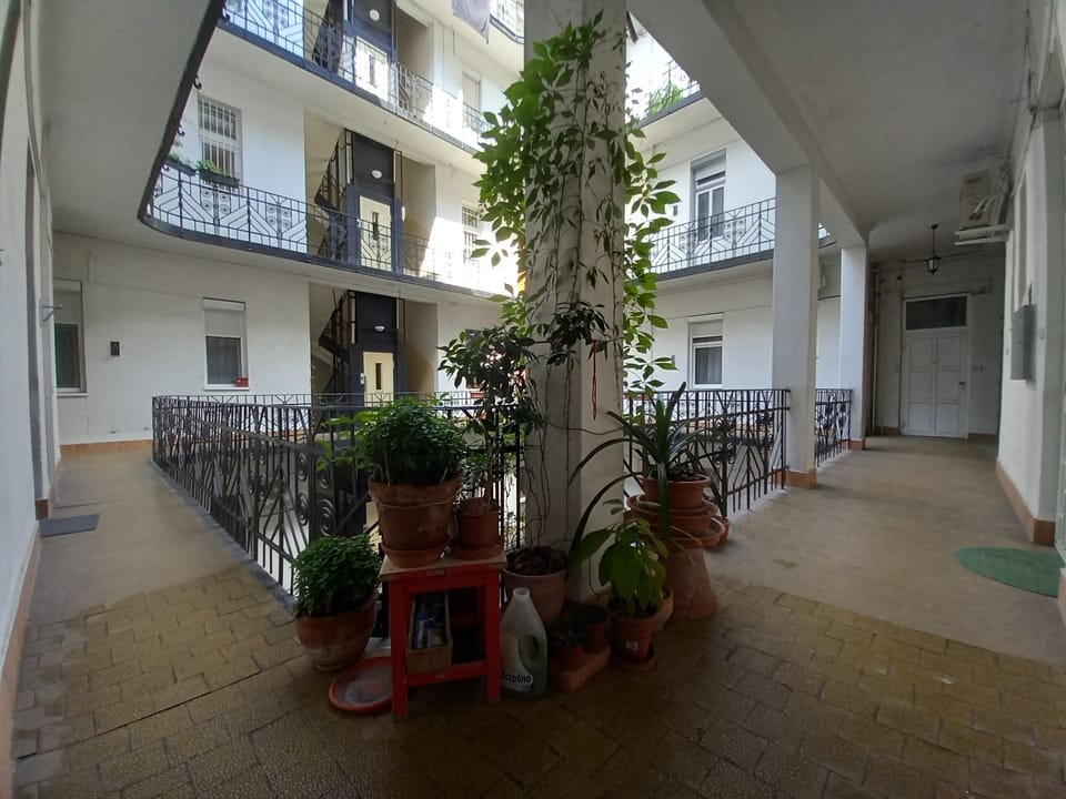 building garden 
