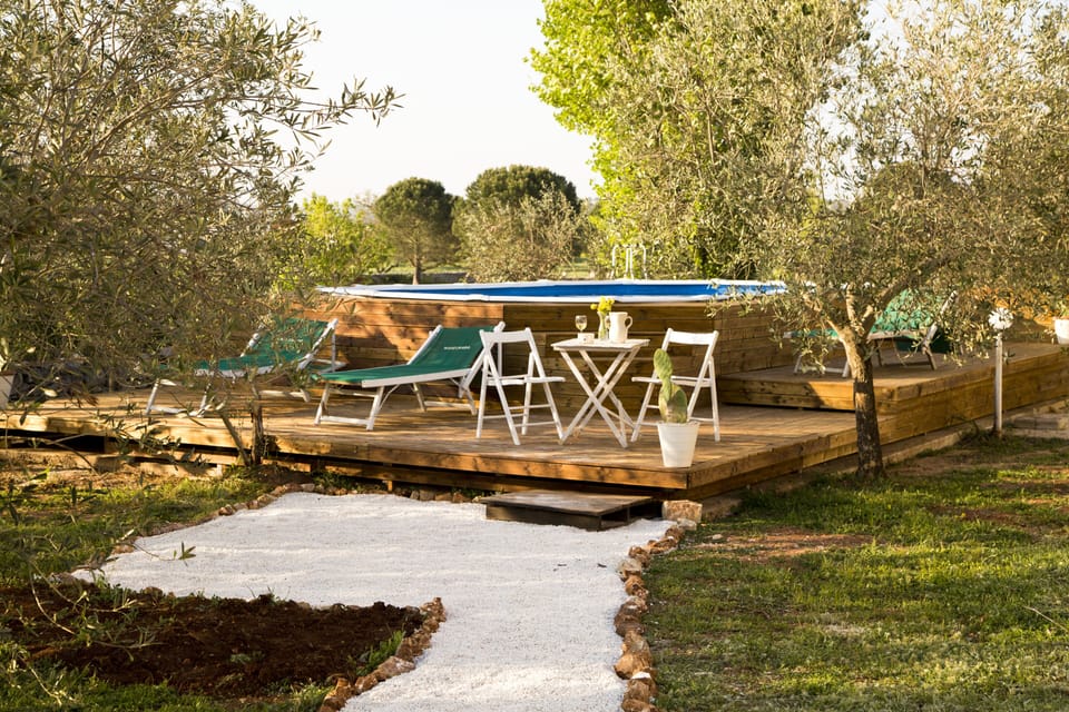 Swimming pool and solarium in the rear garden between olive trees