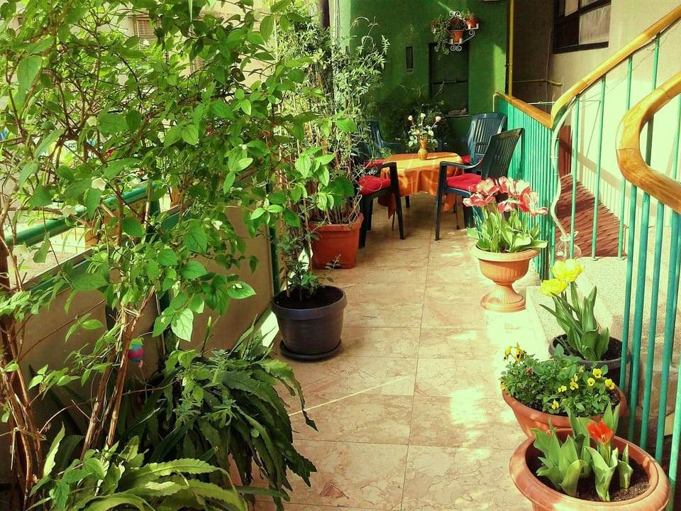 Green terrace with chairs and table in front of the apartment.