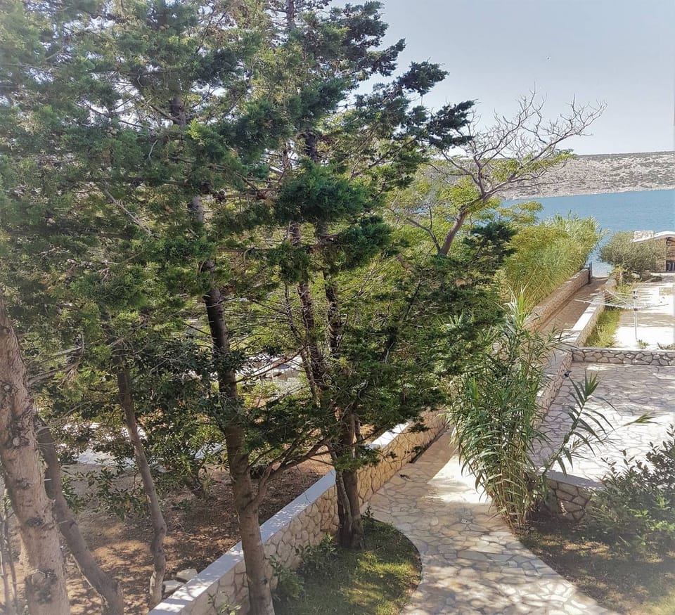Apartments Vrtlici A1 - view from terace on 20m house path and sand beach 
