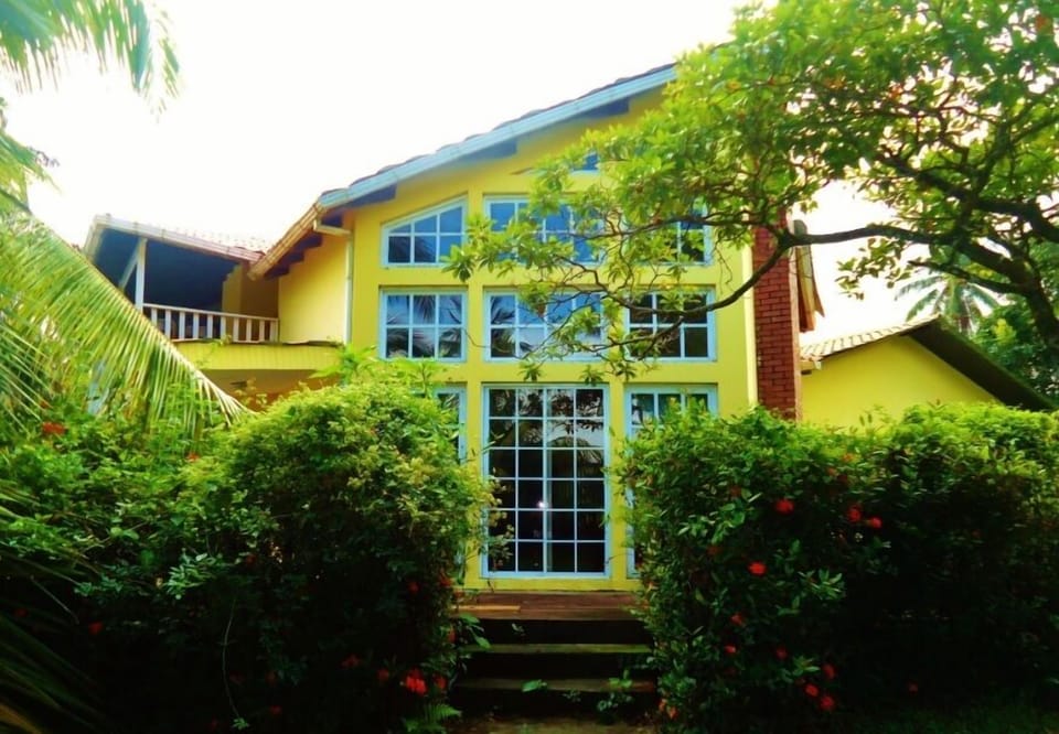 Exuberant vegetation surrounds this tropical home.