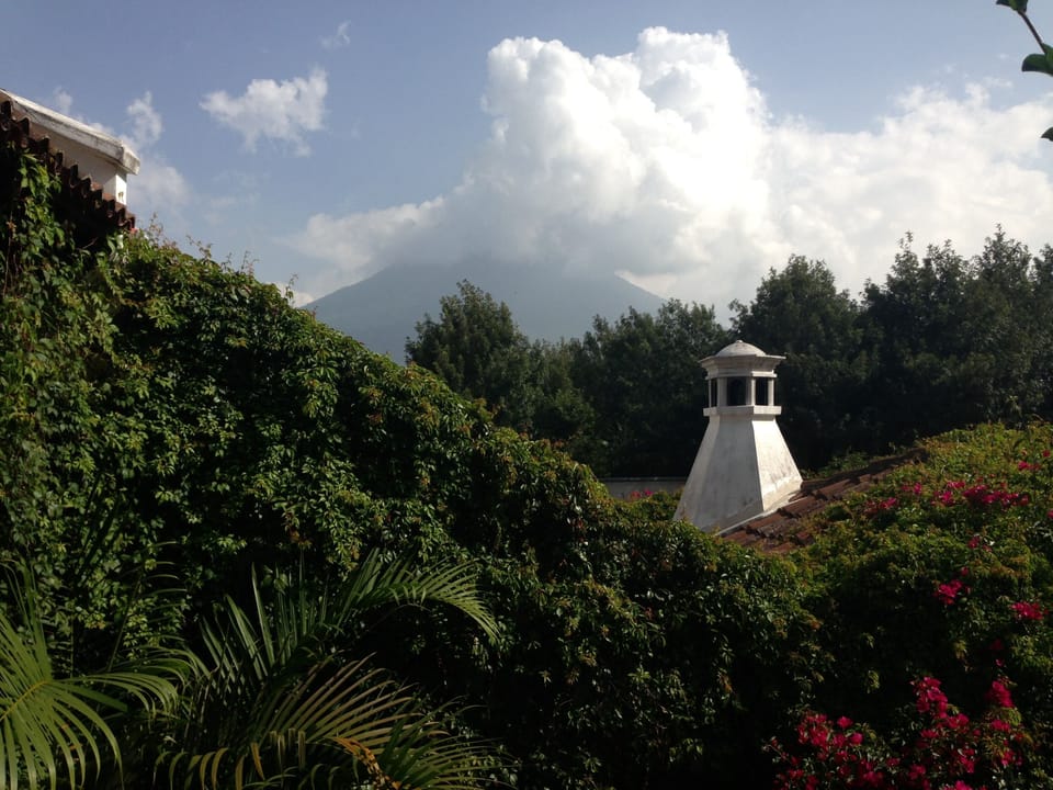 View from terrace