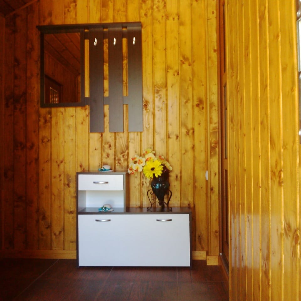 Hallway -coat hanger, shoe cabinet