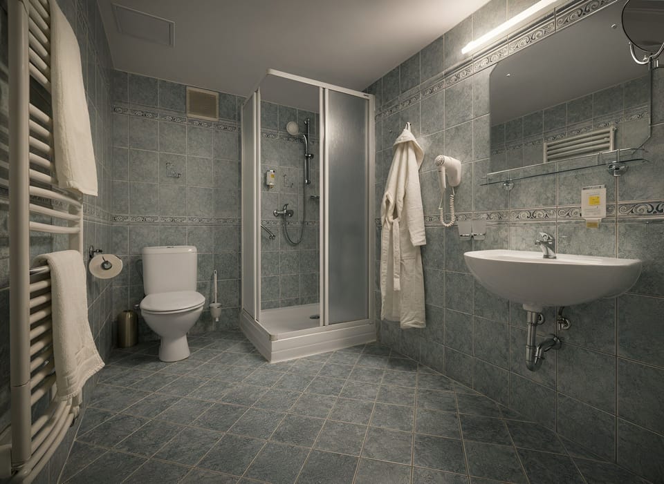 Shower, free toiletries, hair dryer, bathrobes