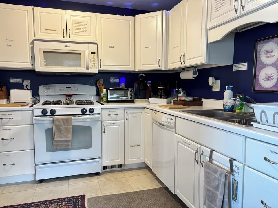 Fridge, oven, stovetop, dishwasher
