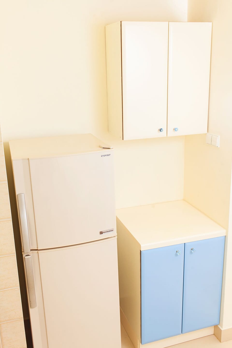 A new, designer fridge.
