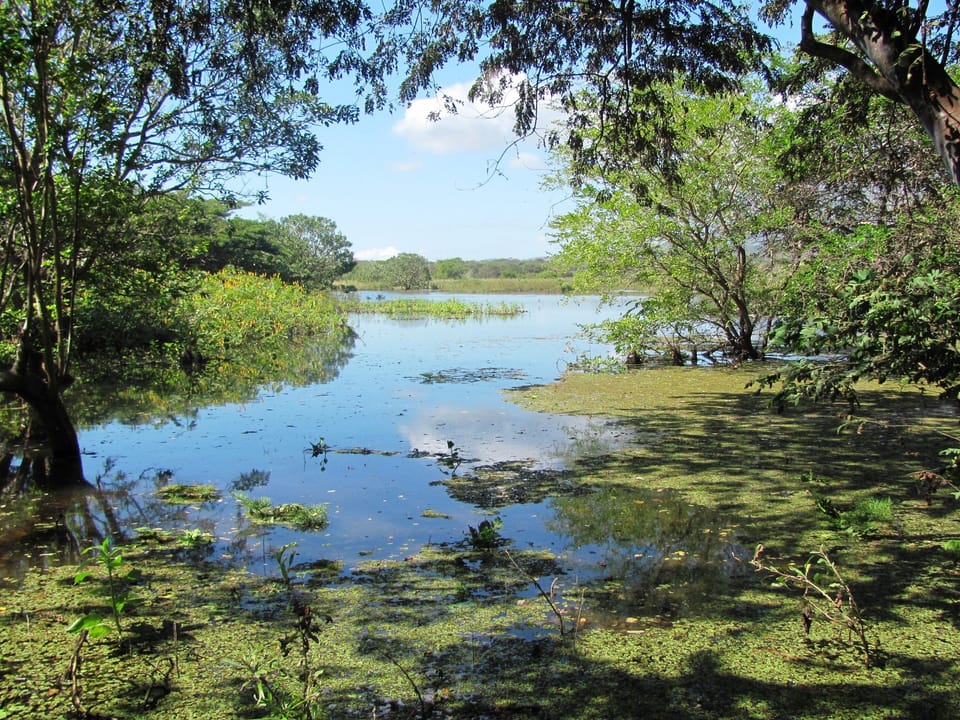 Lake