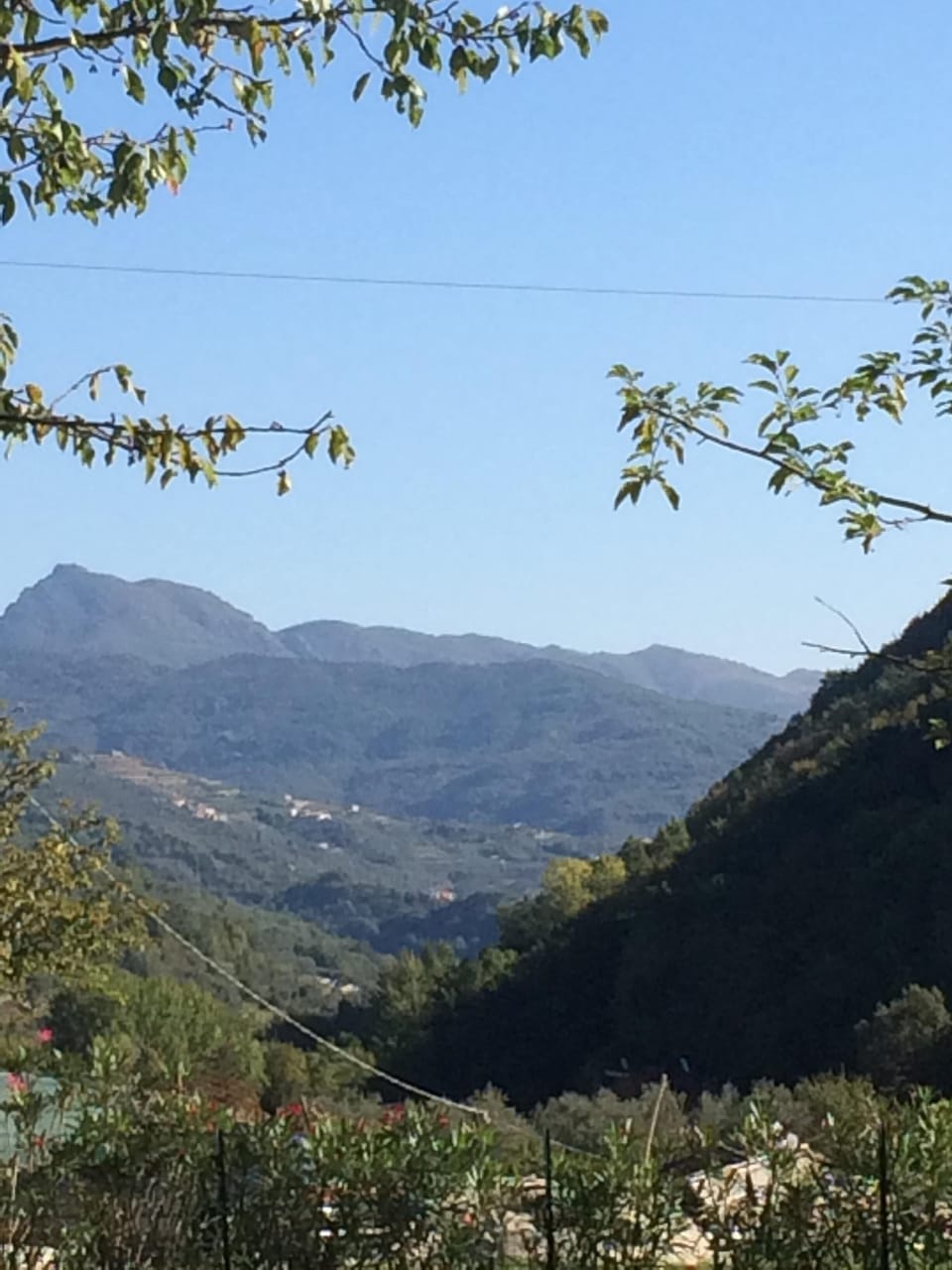 View down the valley from the garden