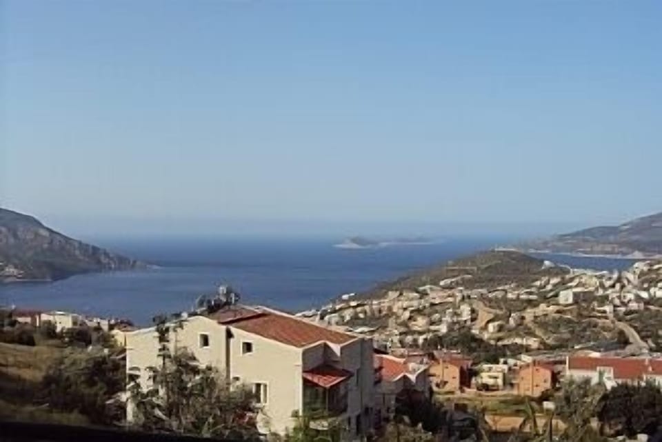 View from Roof Terrace