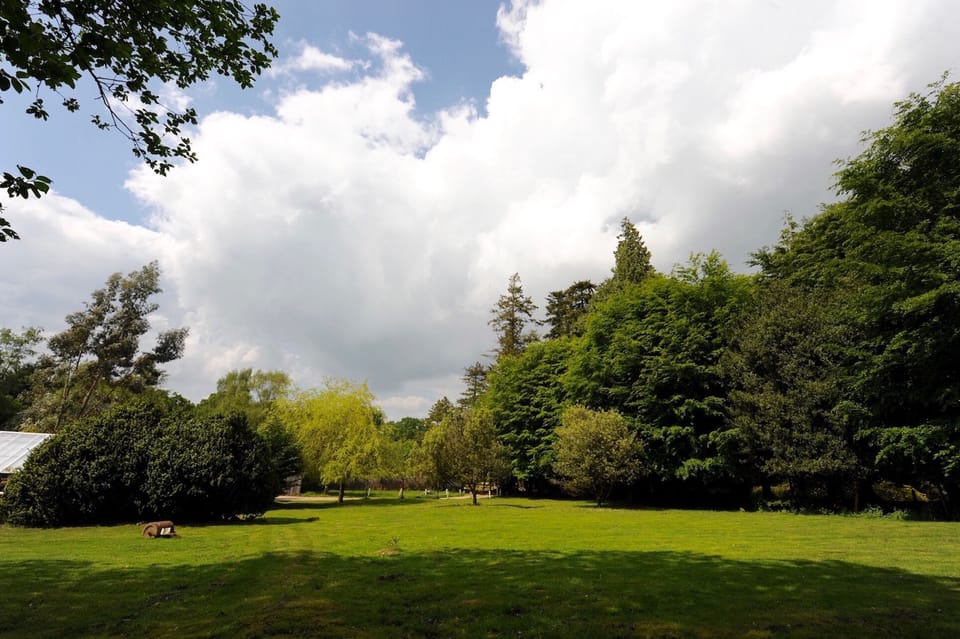 Large garden, direct access to the New Forest