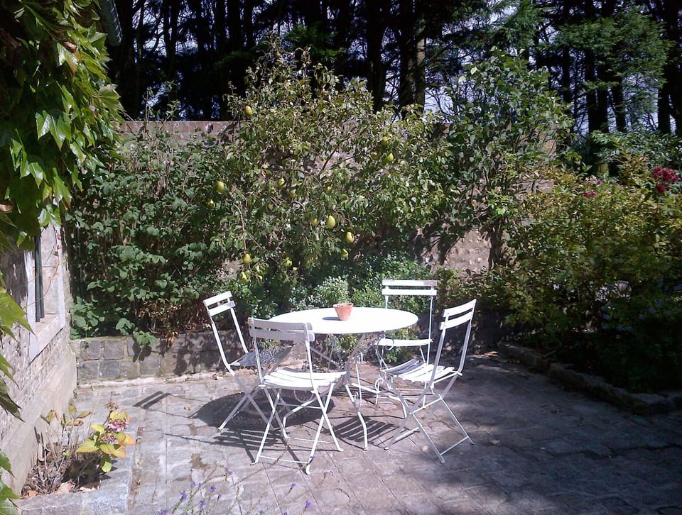The terrasse