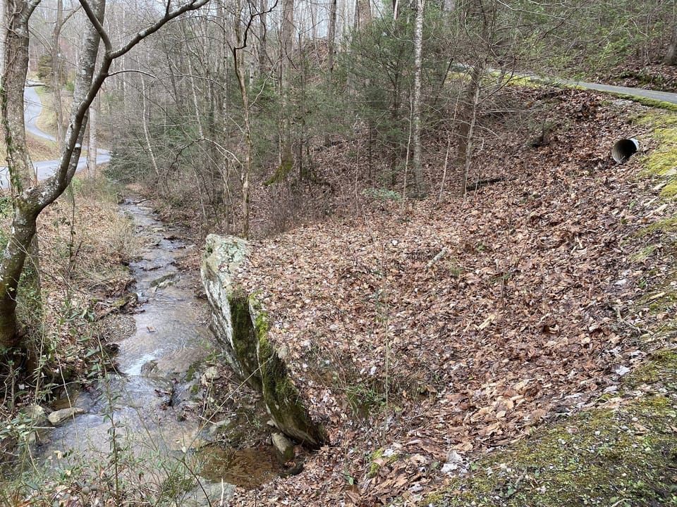Creek at the base of the driveway