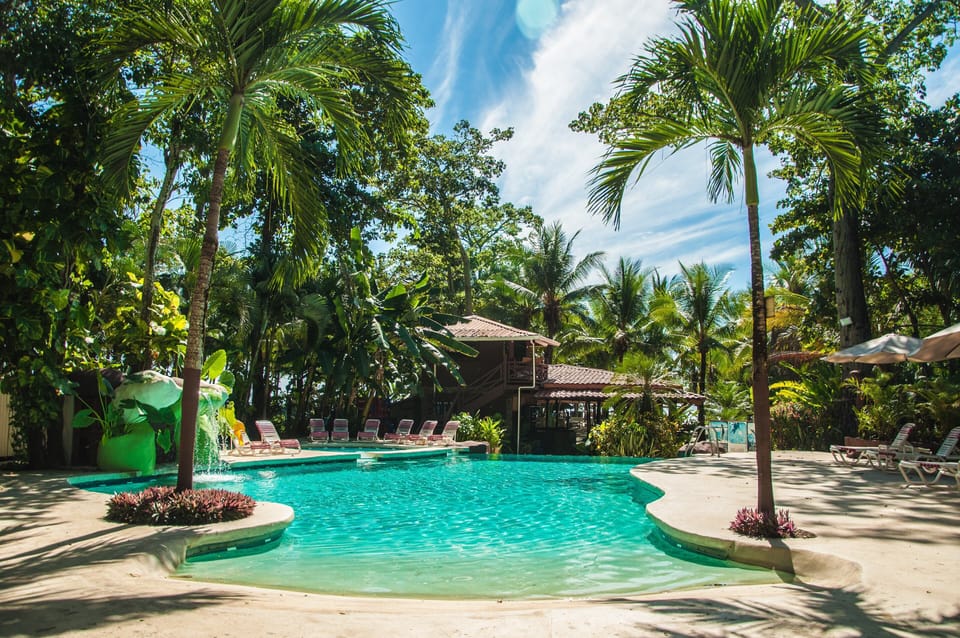 Shared pool at the hotel