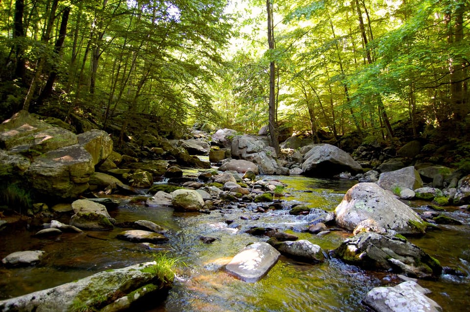 Just upstream from the swimming hole.