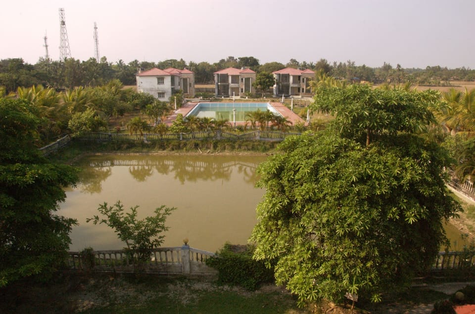 Double Room, Non AC, Smoking, Pool View | View from property