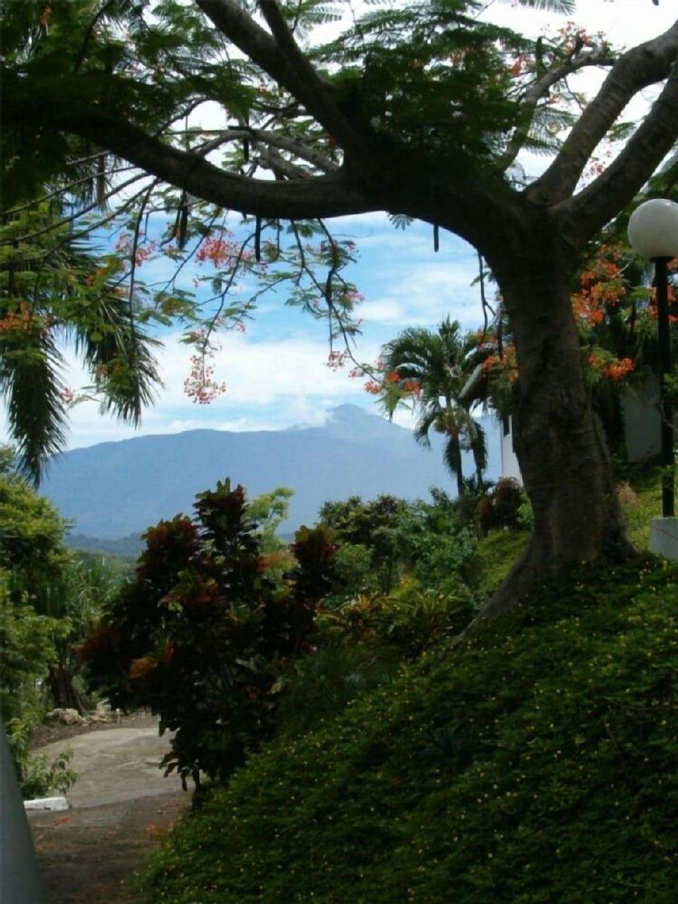 mountain view from the drive