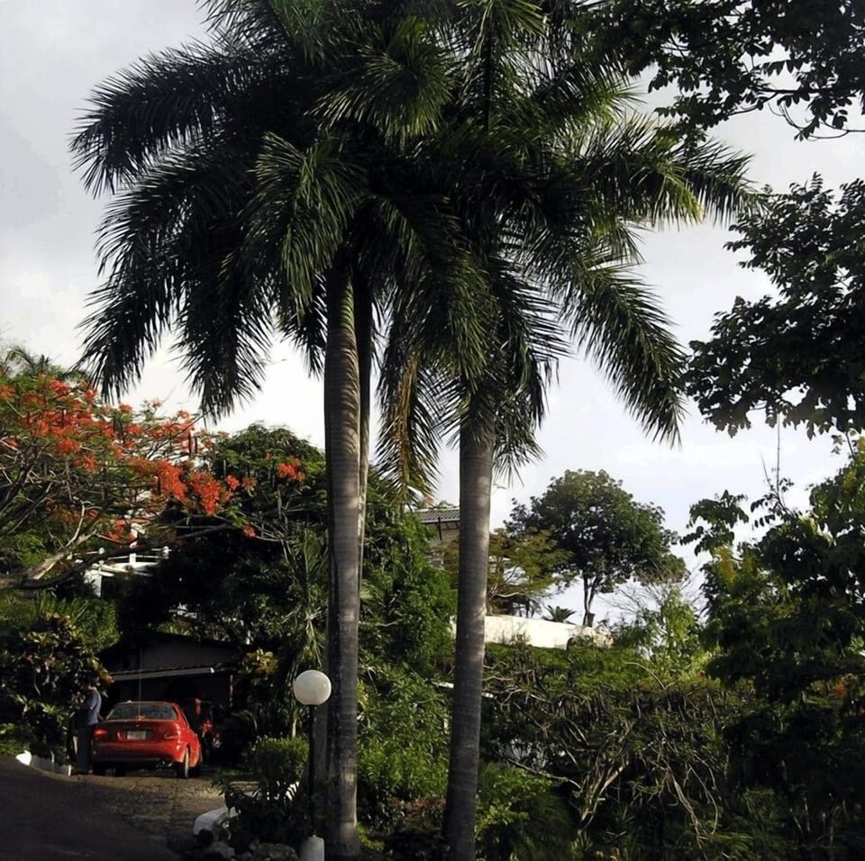 Here you are at Casa Tres Palmas!