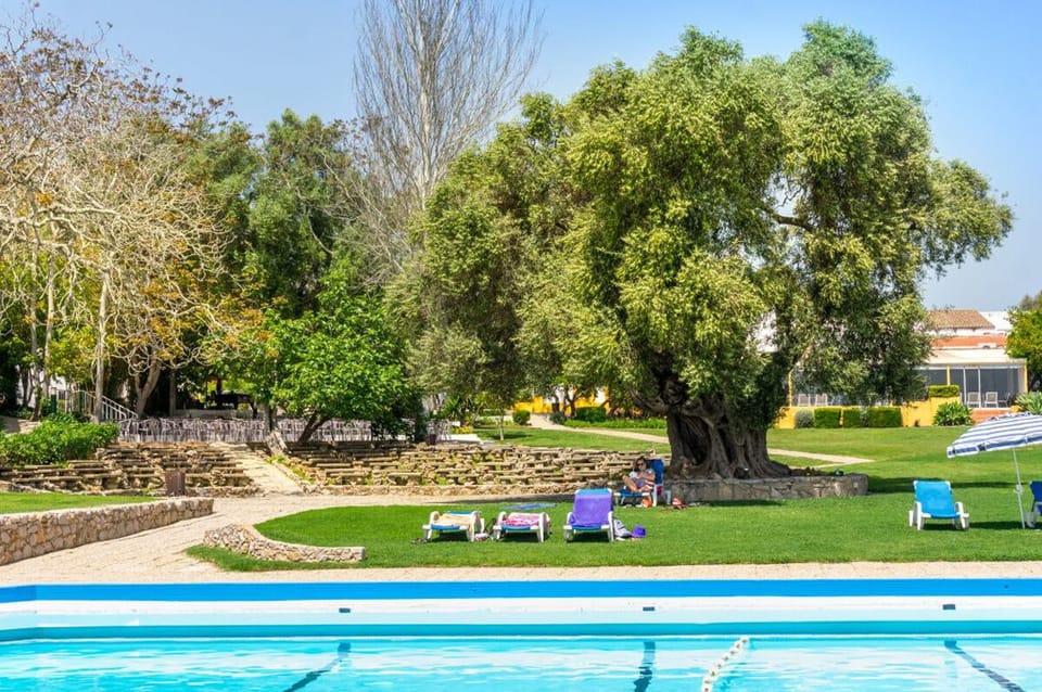The Resort's Swimming Pool (shared)