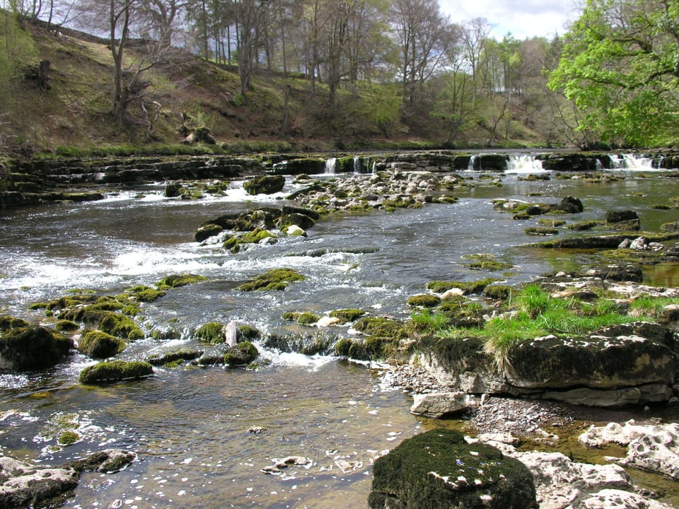 Redmire Force