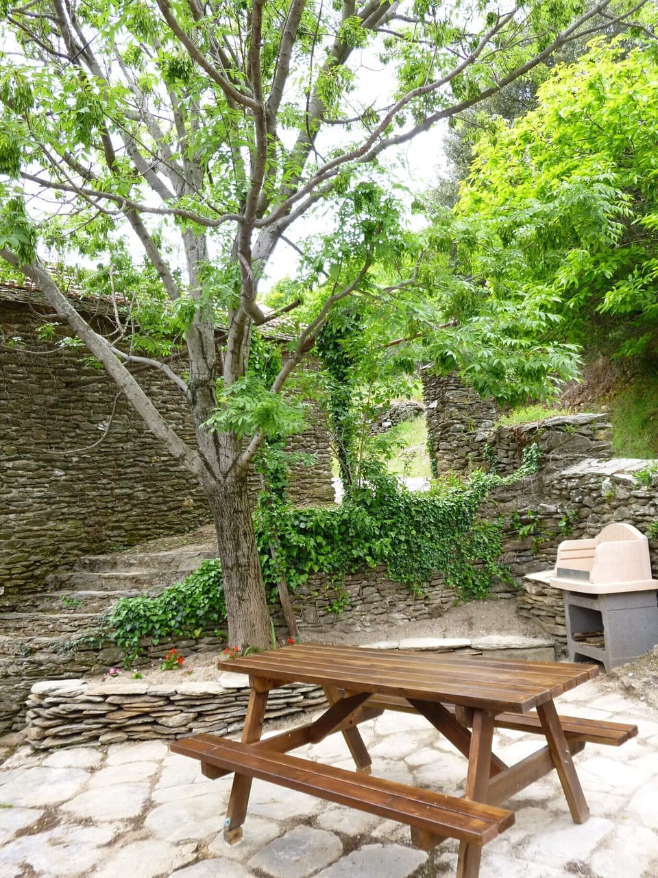 Table, benches, barbecue, and rows of flowers