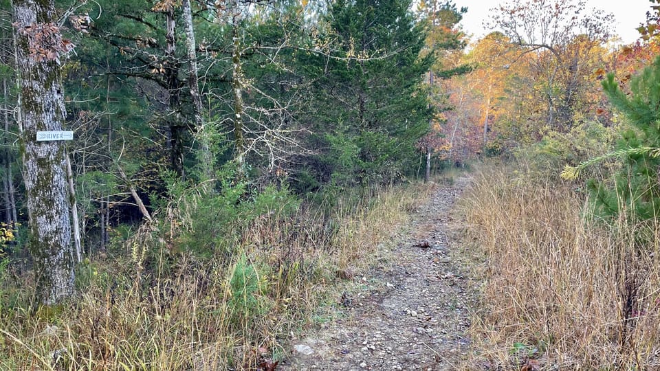 Trail from cabin to river access point