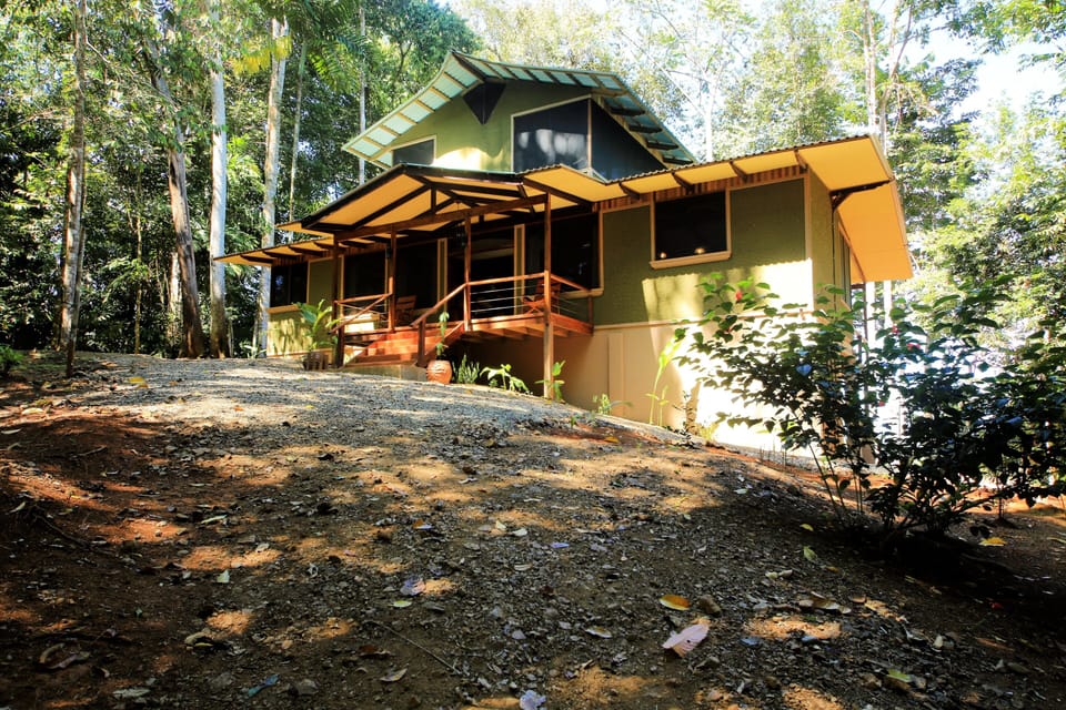 Our luxury home nestled into the primary and secondary rainforest