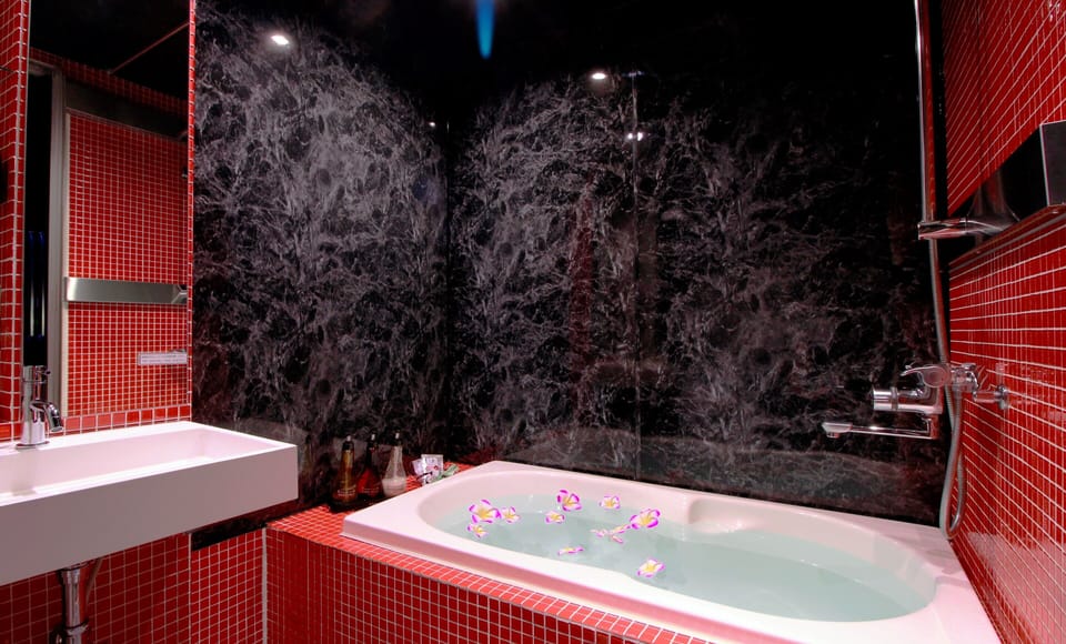 Combined shower/tub, free toiletries, hair dryer, slippers