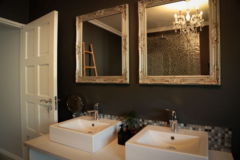 Deluxe Suite | Bathroom | Free toiletries, towels