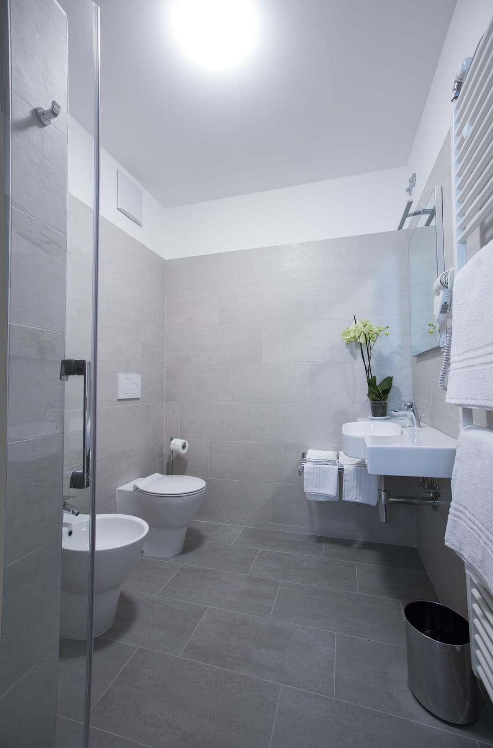 Shower, free toiletries, hair dryer, bidet