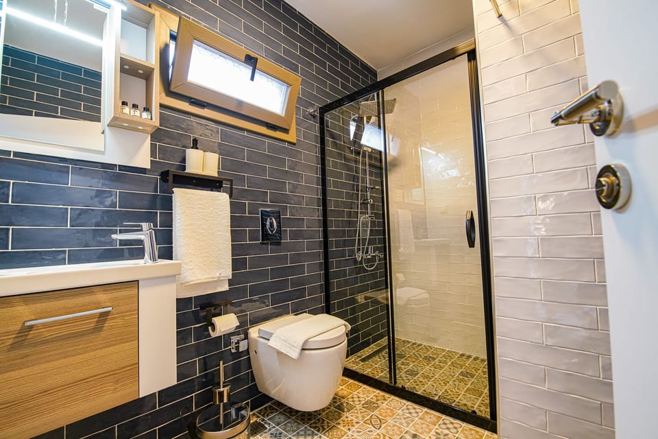 Deluxe Double Room | Bathroom | Shower, free toiletries, hair dryer, slippers