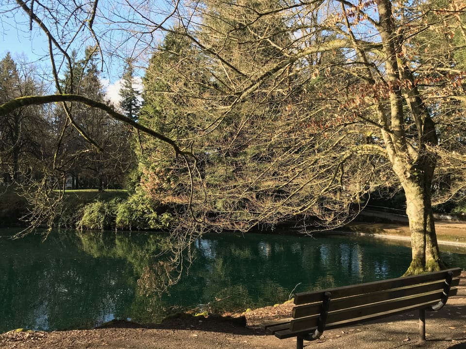 One of Portland's best parks is a 10 min walk away.