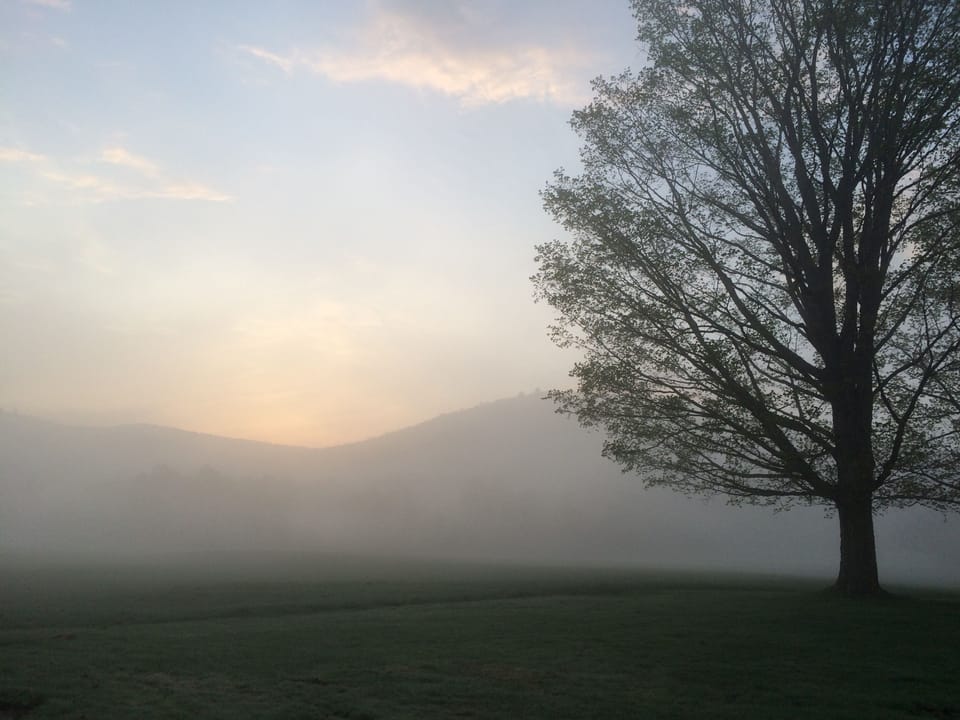 Spring Mornings at The Farm - This Place is Gorgeous