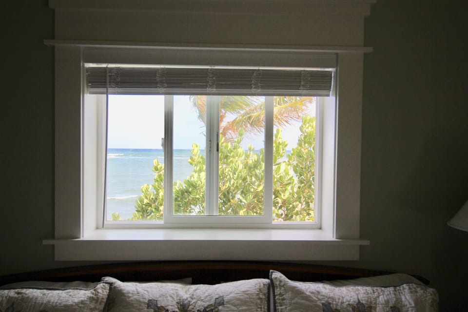 Window view in the king size bed room