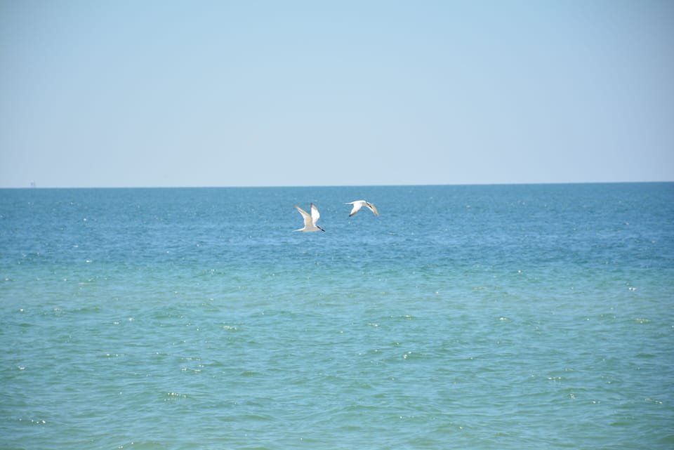 Typical day on the beach...