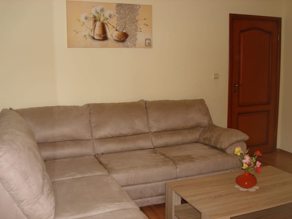 Apartment, 1 Bedroom, Balcony, Sea View | Living area | TV