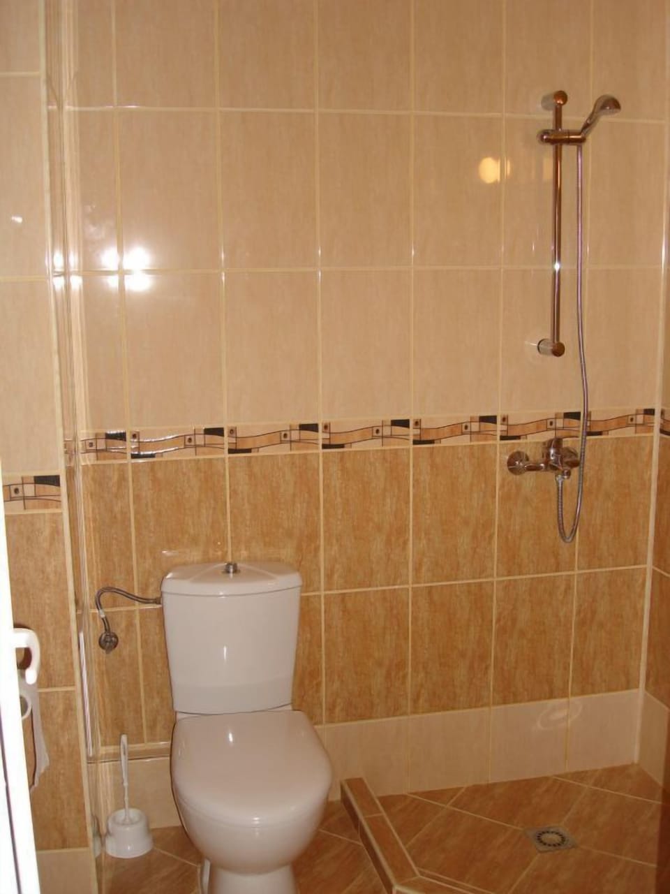 Shower, hair dryer