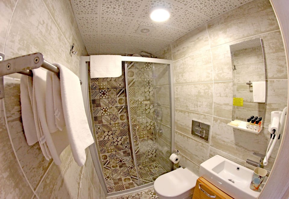 Shower, free toiletries, hair dryer, slippers