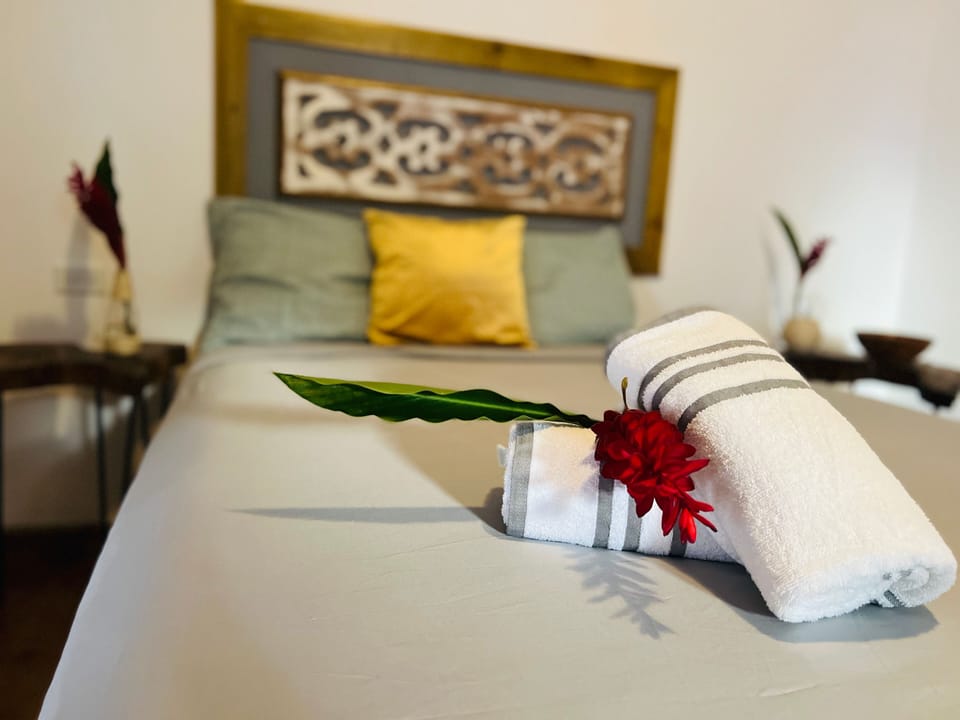 Deluxe Double Room | Hypo-allergenic bedding, free WiFi, bed sheets