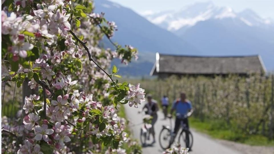Bicycling