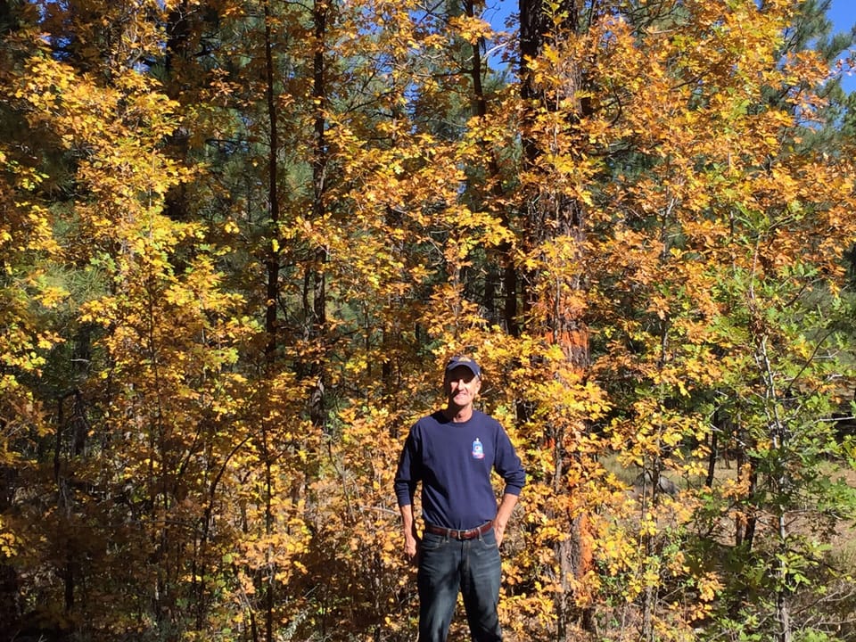 Beautiful Fall Hiking 