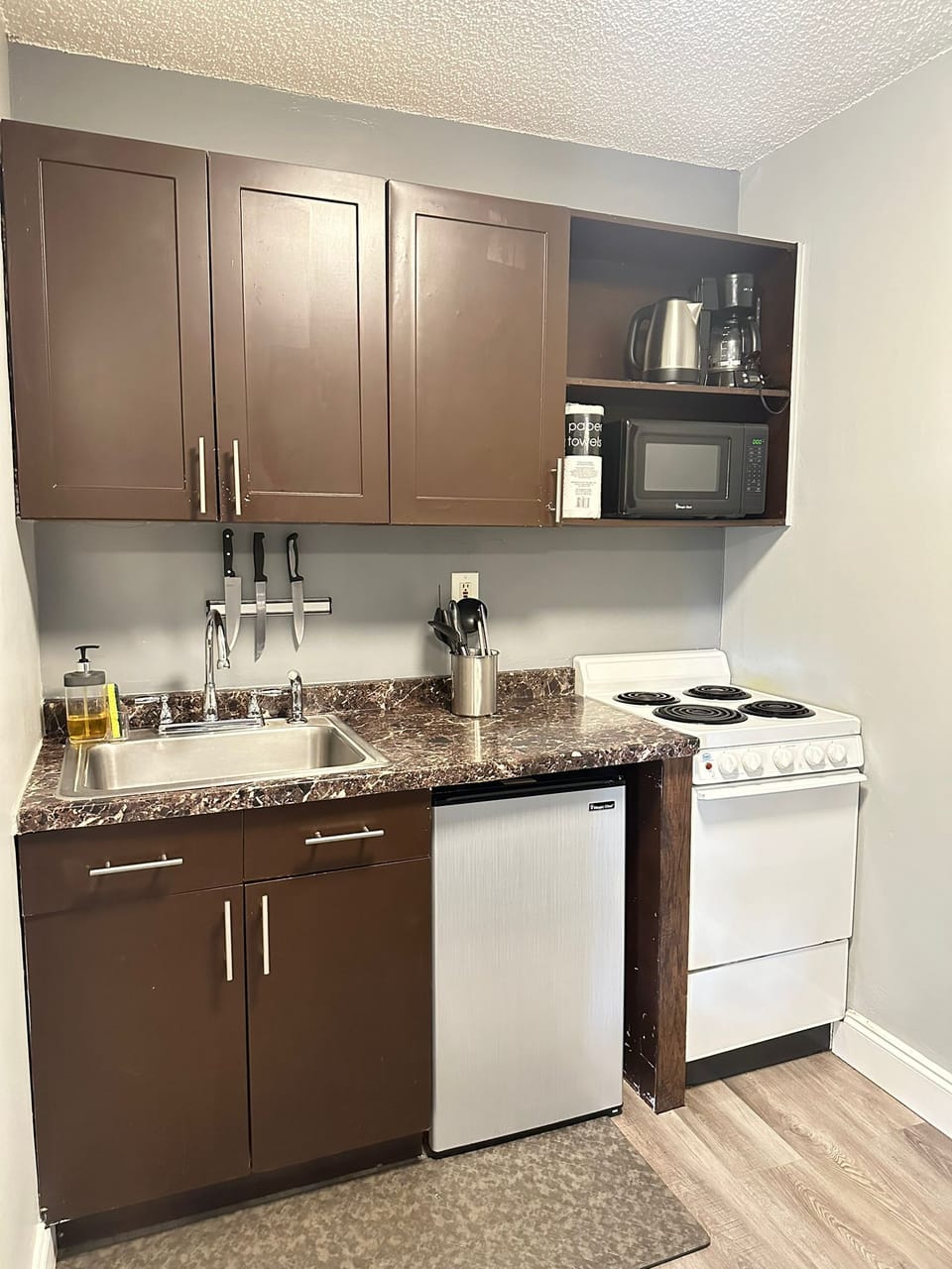 Economy Studio, Multiple Beds, Kitchenette, Garden Area | Private kitchen | Fridge, microwave, stovetop, coffee/tea maker