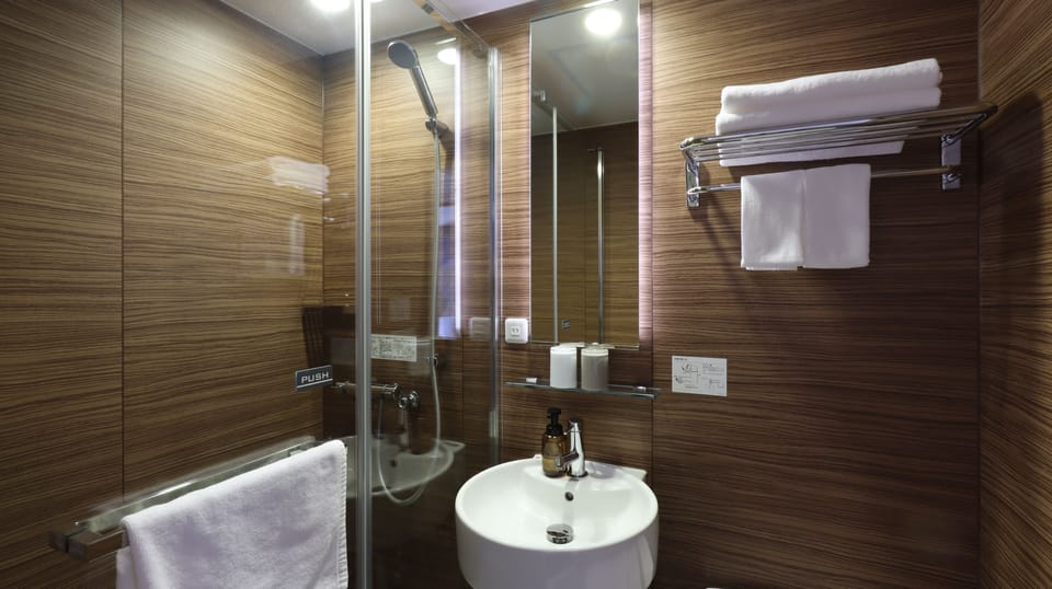 Free toiletries, hair dryer, slippers, bidet