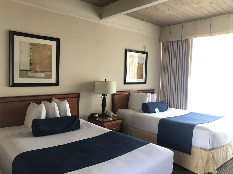 Standard Room | Desk, blackout drapes, iron/ironing board, free cribs/infant beds