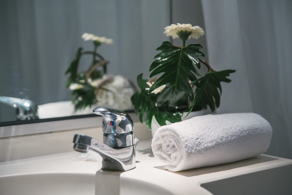 Combined shower/tub, eco-friendly toiletries, hair dryer, towels