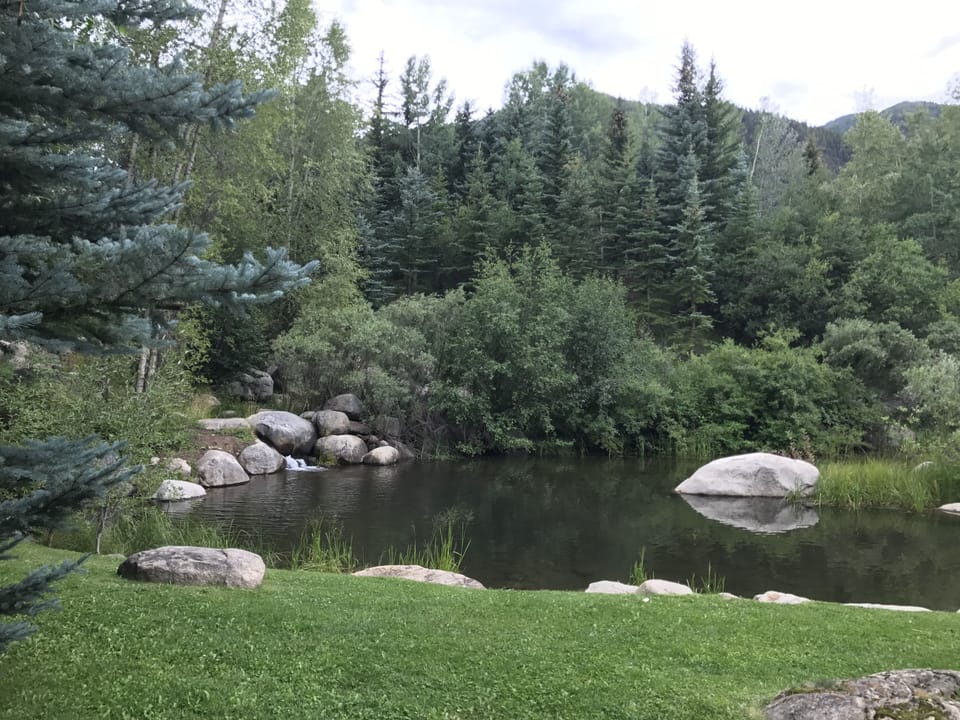 Pond behind house