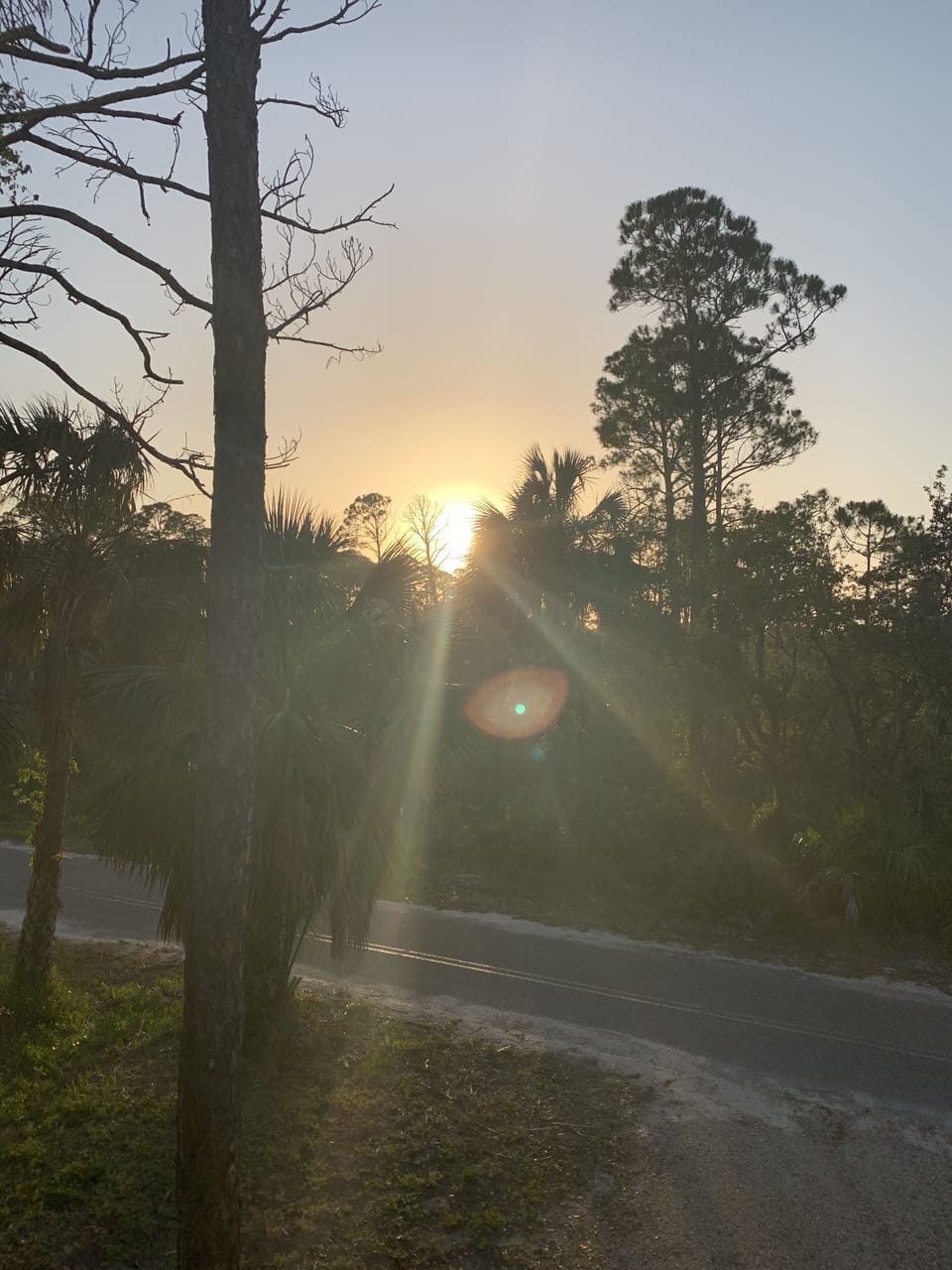 Sunrise from the front porch 
