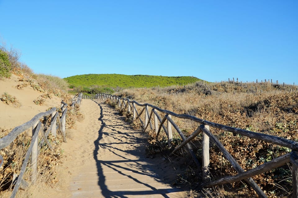 walk to the beach trough the dune