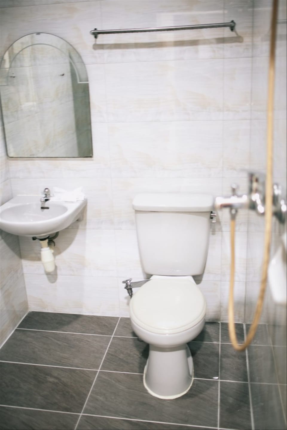 Deluxe Room | Bathroom | Shower, free toiletries, towels